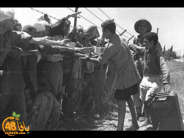 ramlae ludi i1 (3).jpg